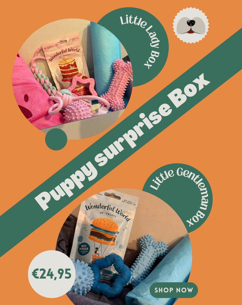 Puppy Surprise Box