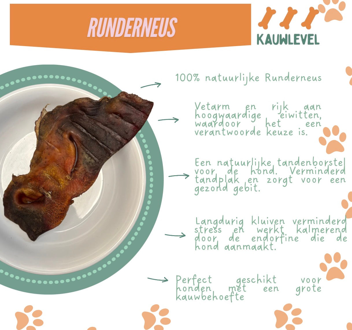 Runderneus