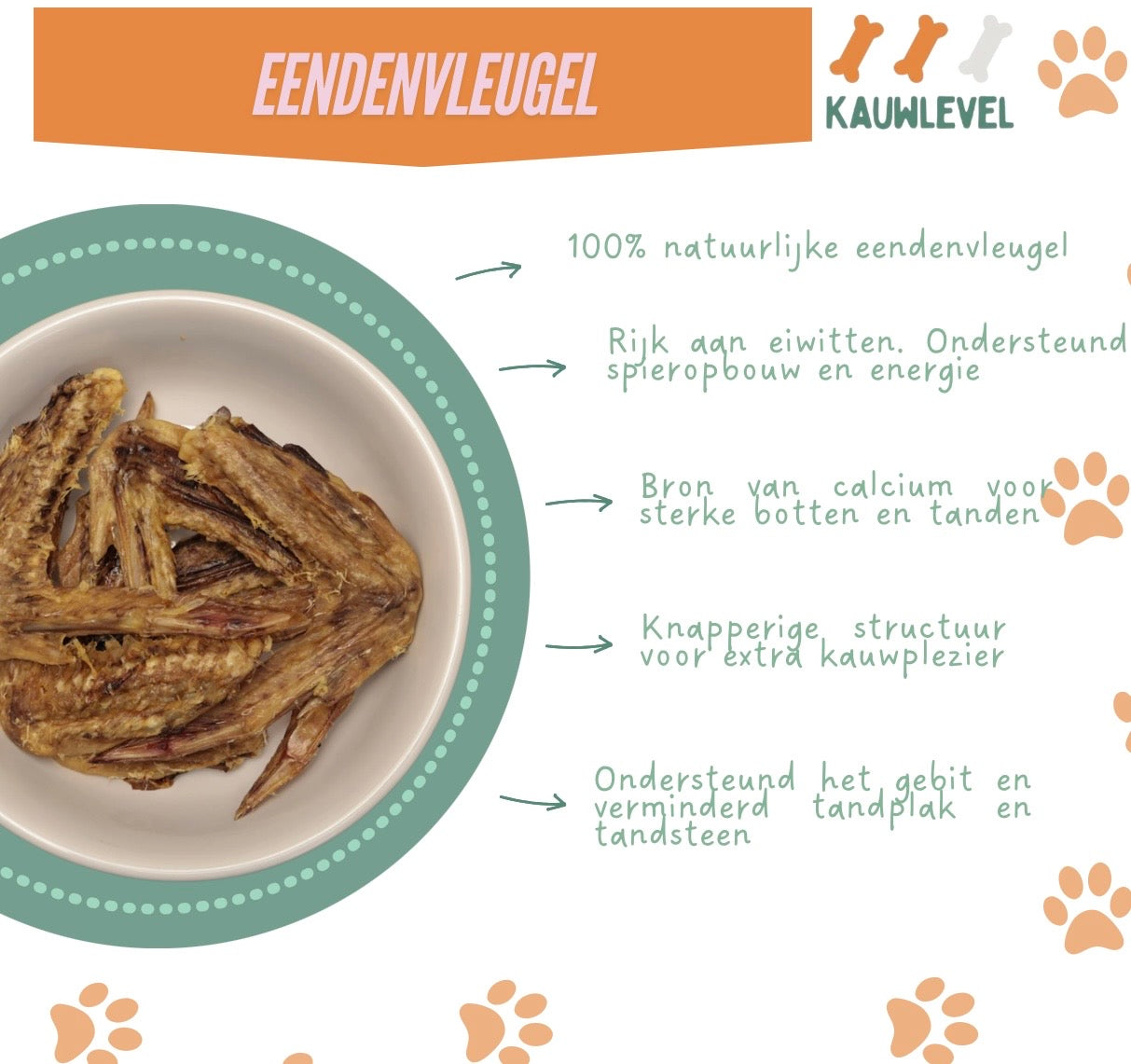 Eendenvleugel