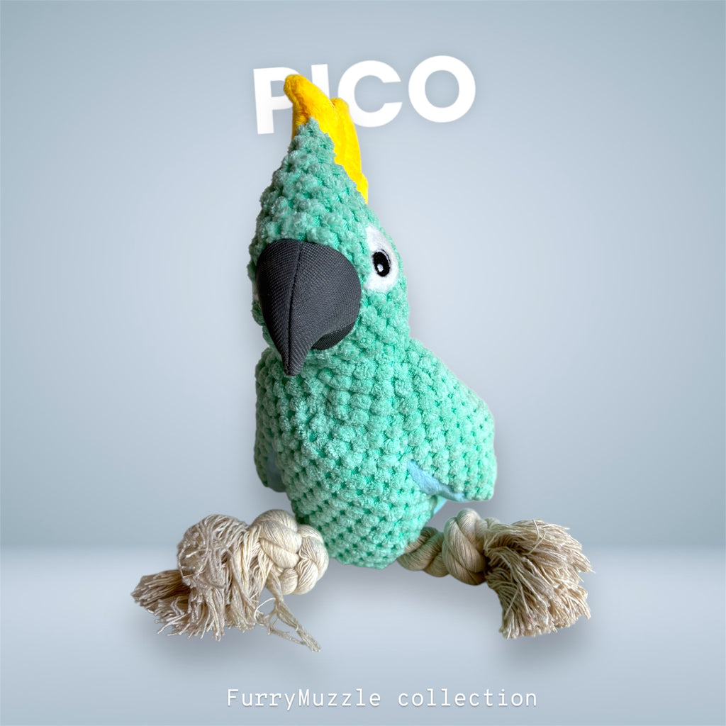 Pico Parrot