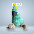 Pico Parrot