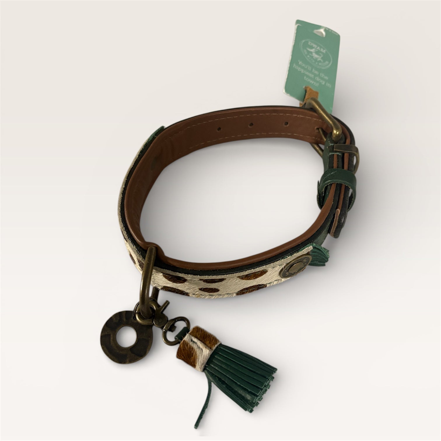 DWAM Ivy Collar M2.5