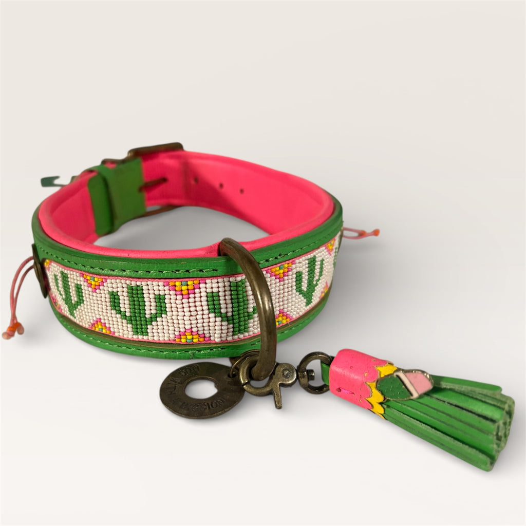 DWAM Tropical Summer Collar XL