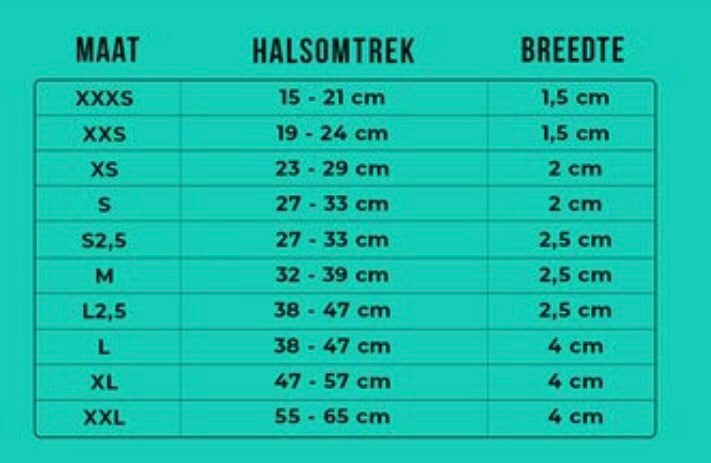 DWAM Blue Star Collar L4