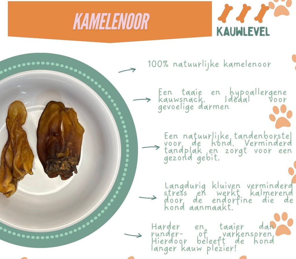 Kamelenoren
