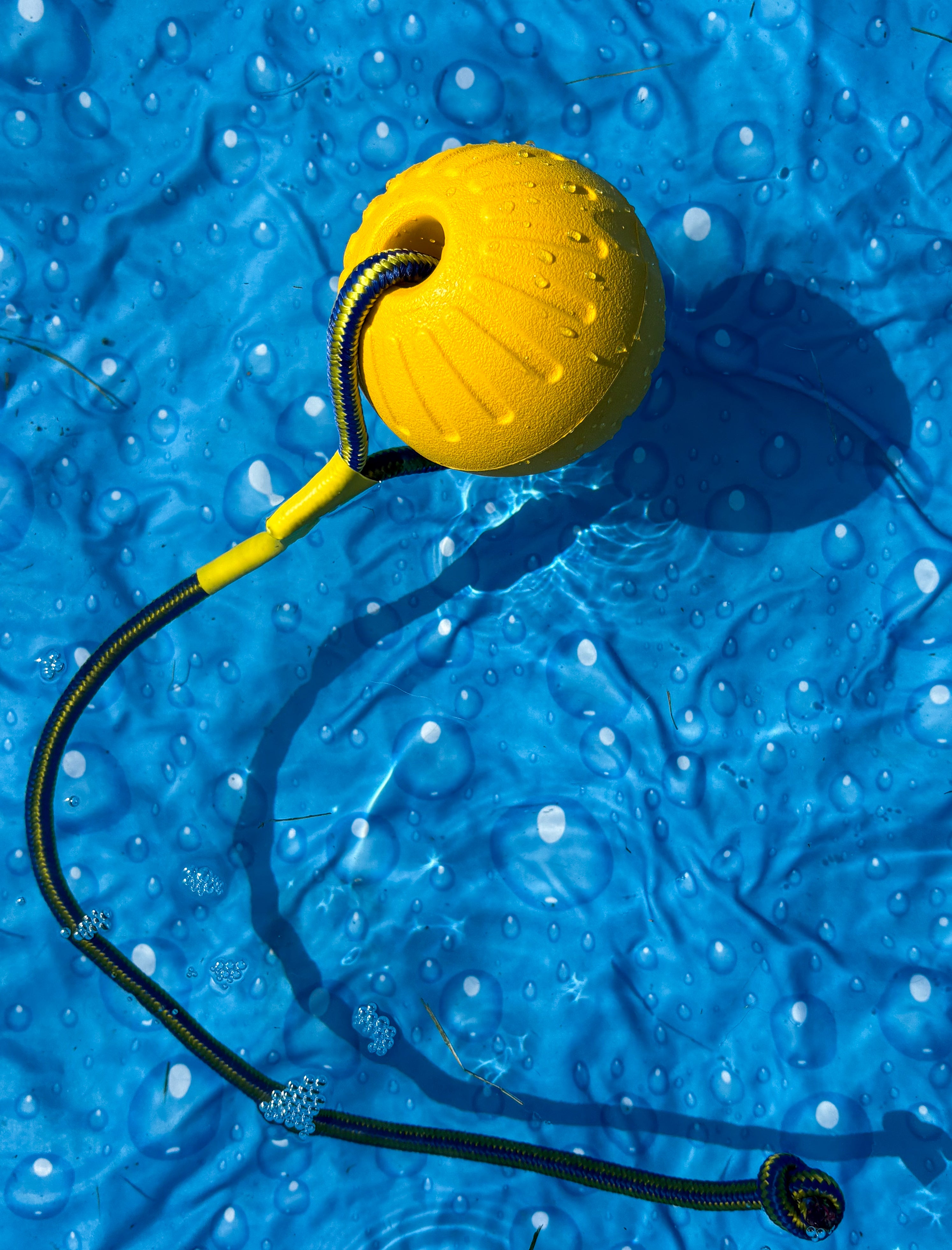 Float ‘n splash Ball