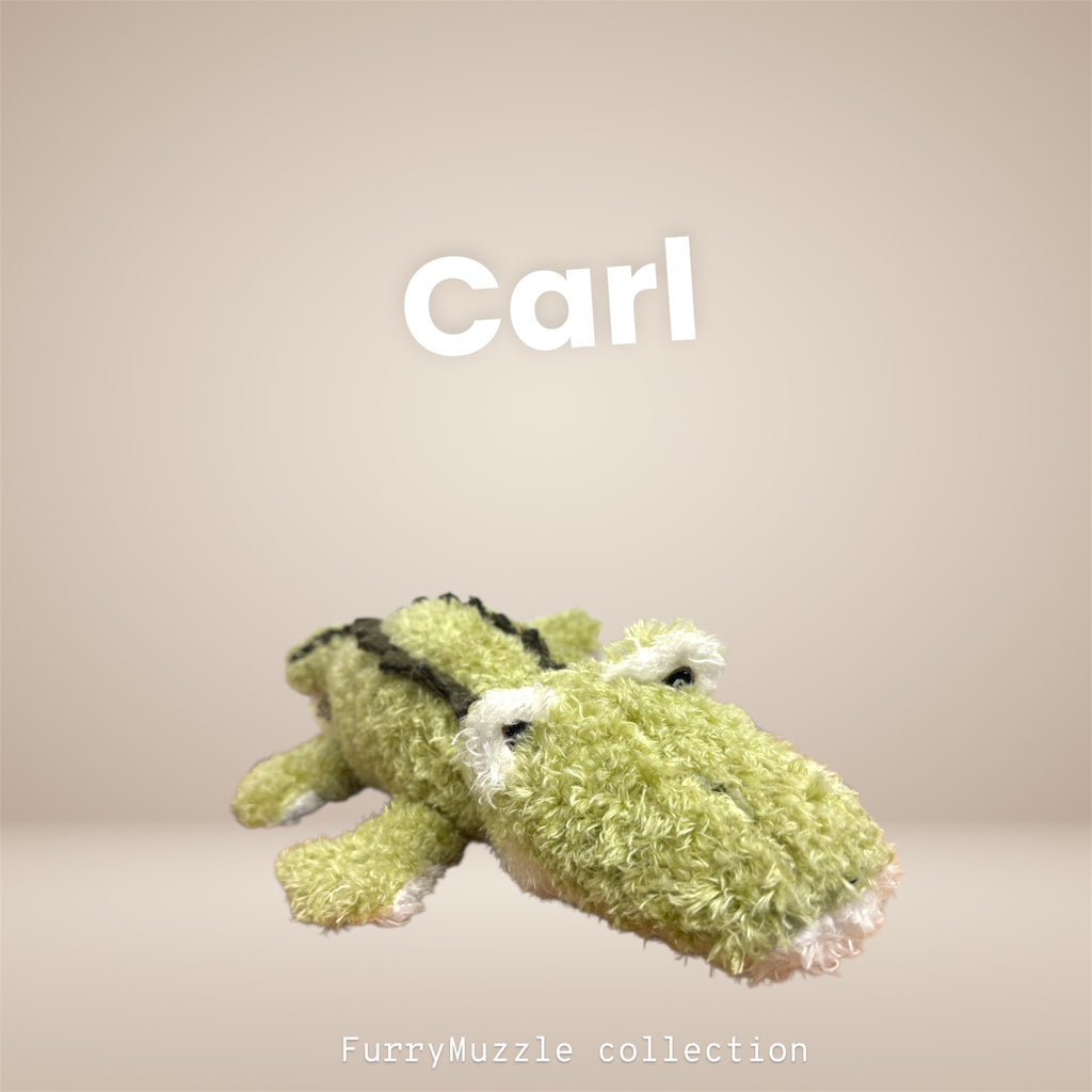 Carl Croco
