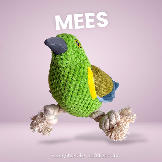 Mees Mus