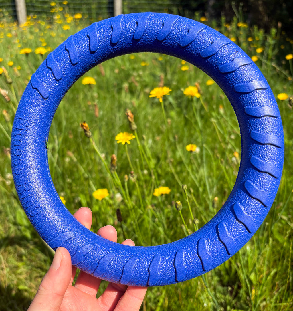 Ocean dive Drijfringen