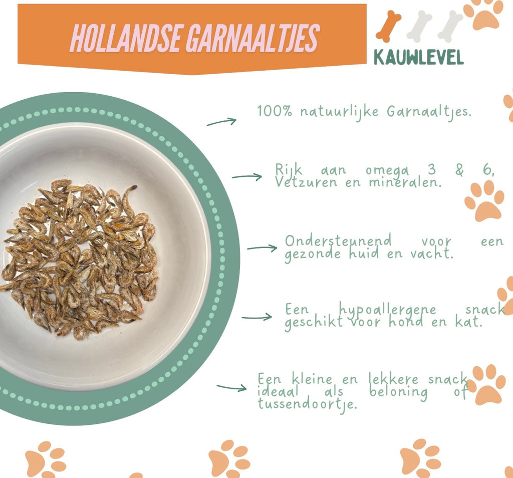 Hollandse Garnaaltjes