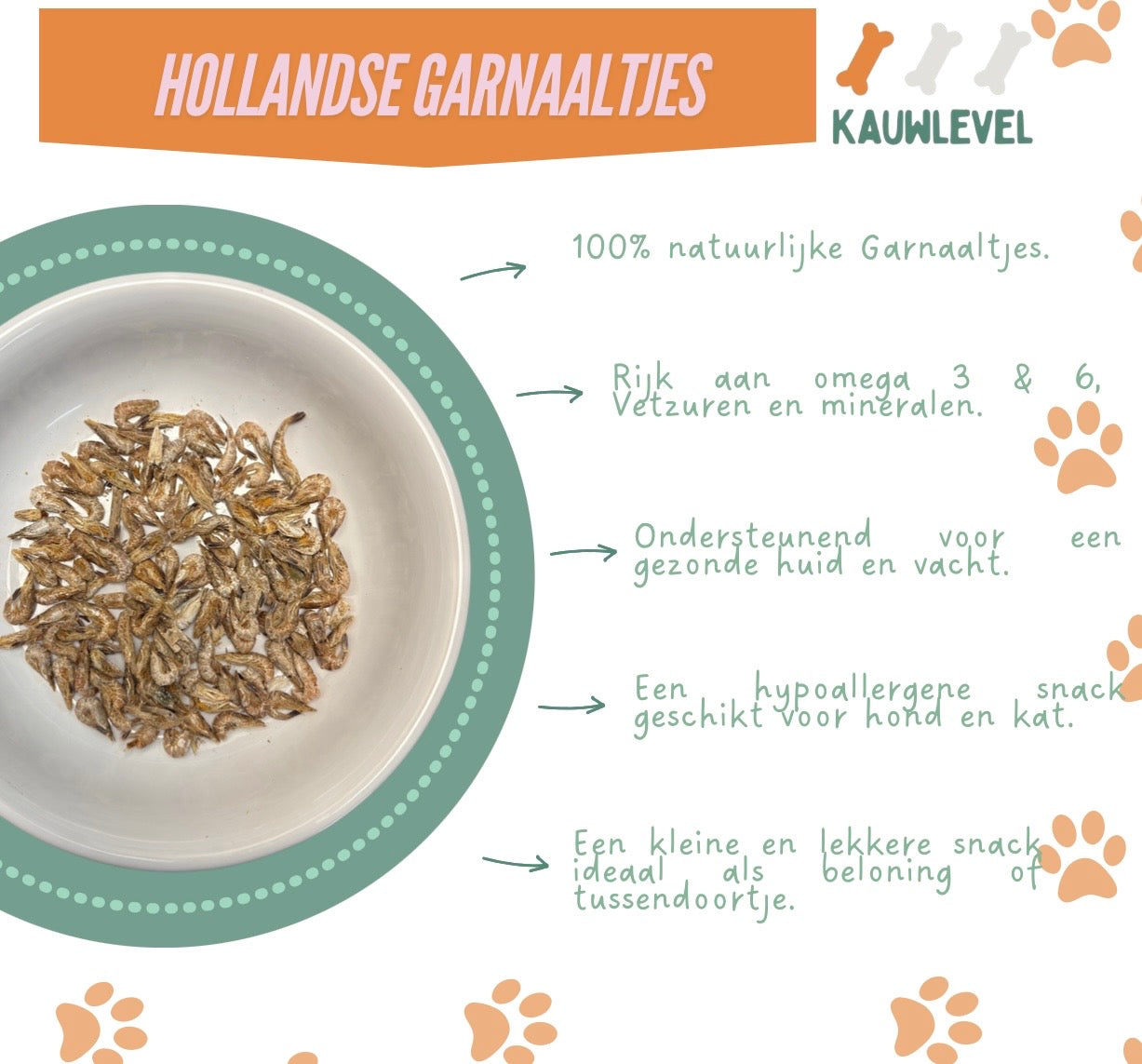 Hollandse Garnaaltjes