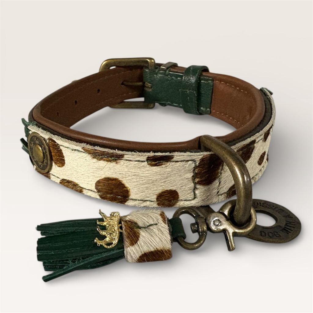 DWAM Ivy Collar M2.5