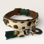 DWAM Ivy Collar M2.5