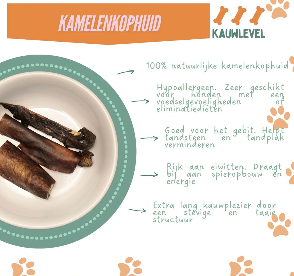Kamelenkophuid