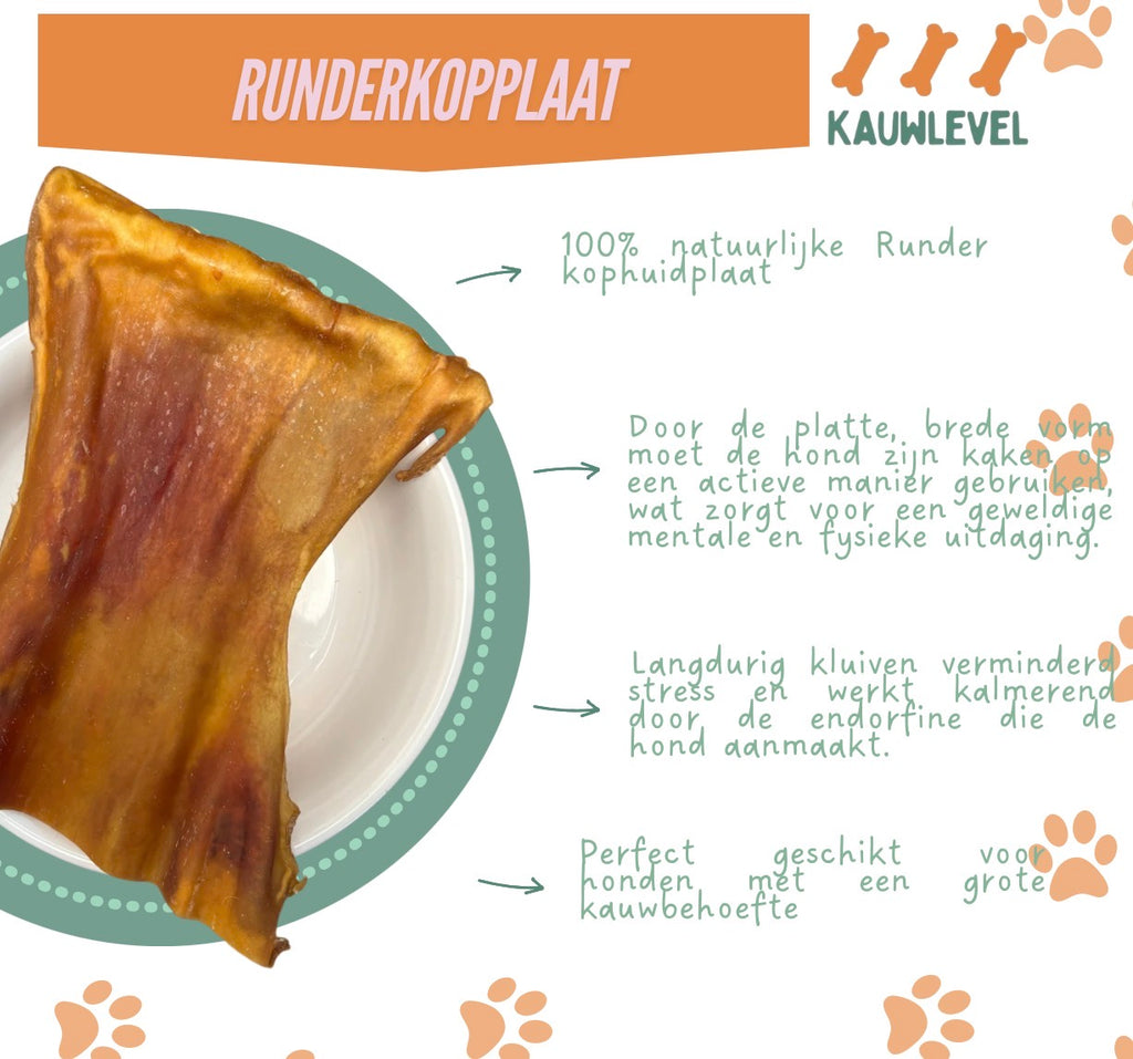 Runder kophuidplaat