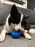 Snack ‘n Lick 2.0
