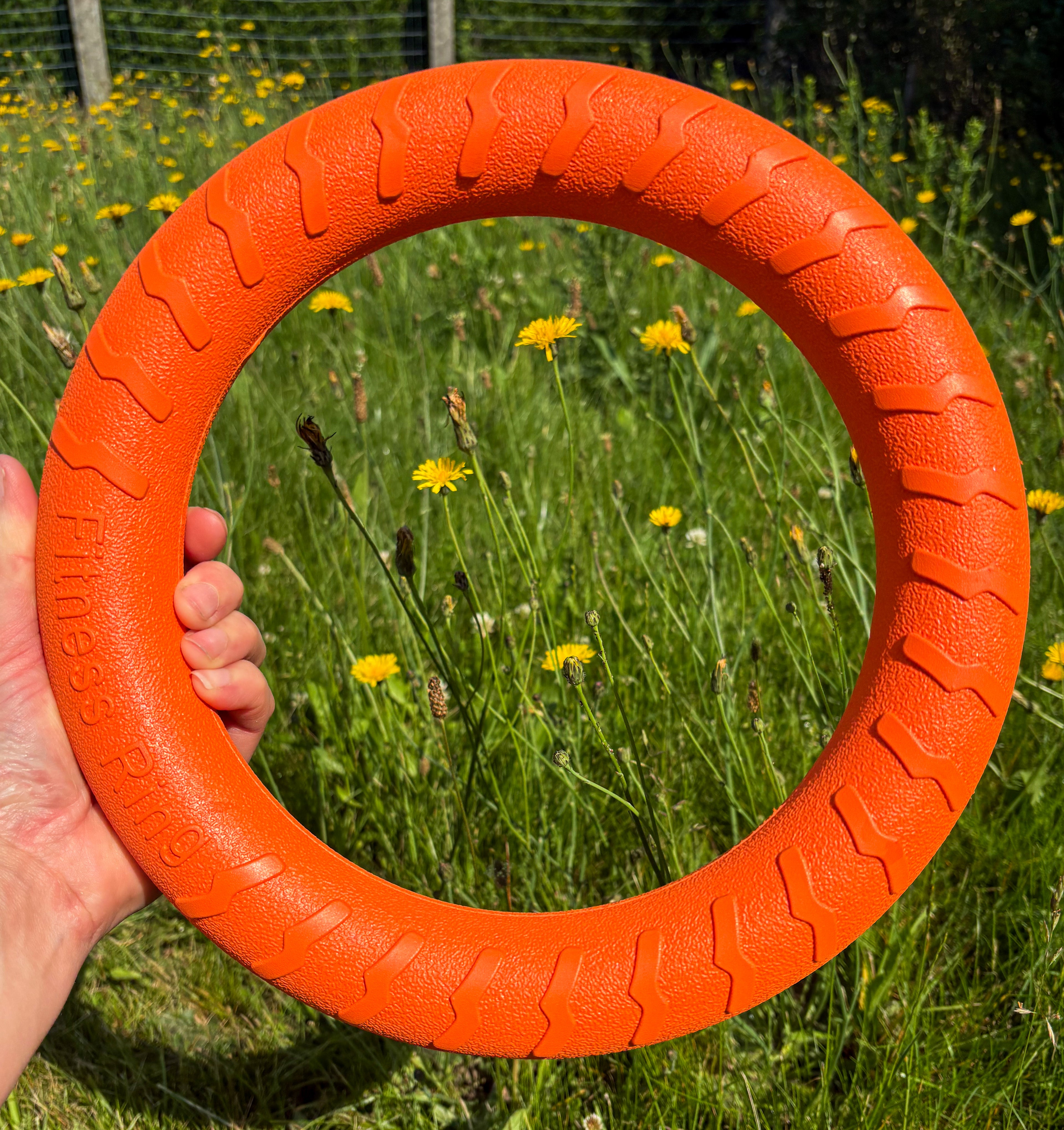 Sunset splash Drijfring