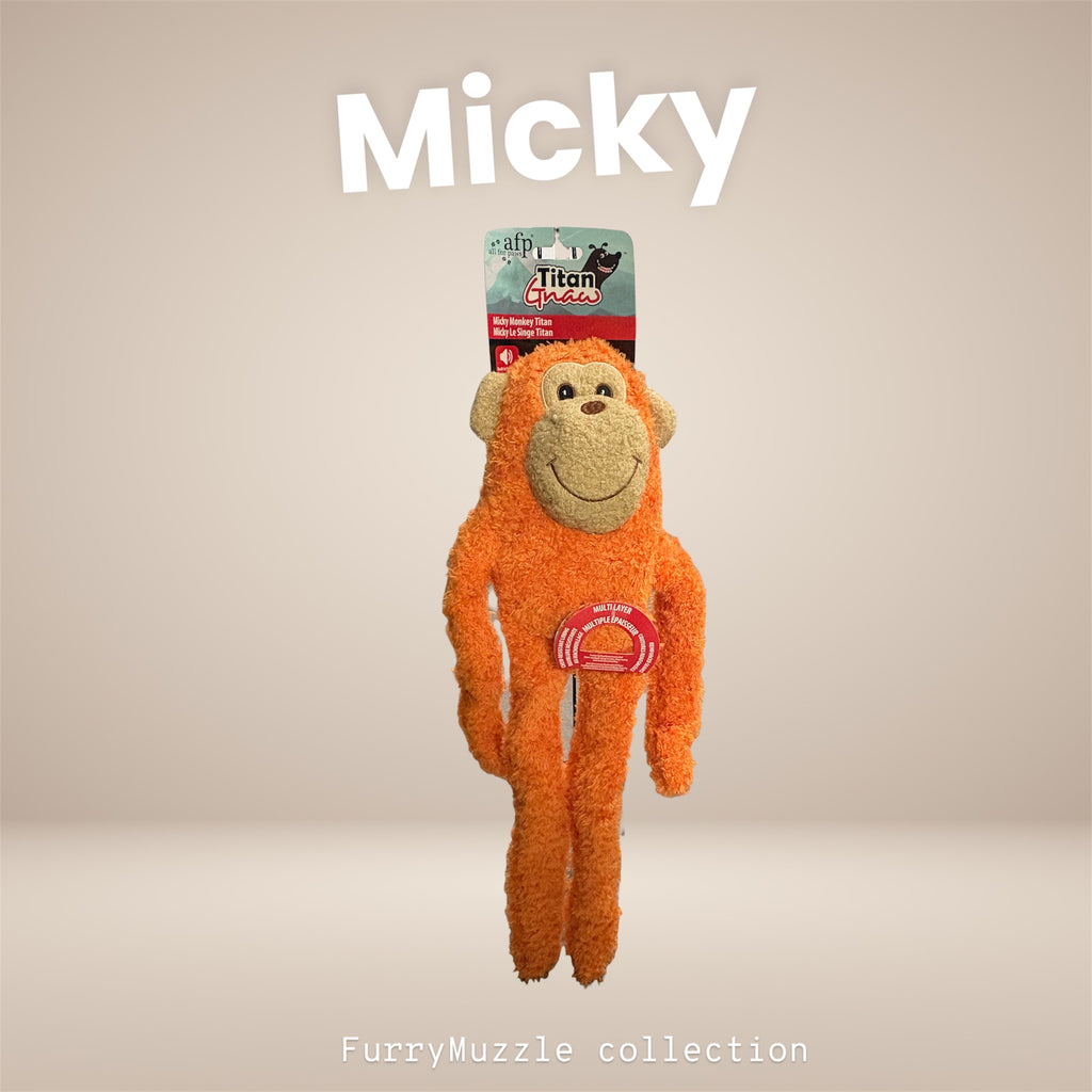Micky Monkey
