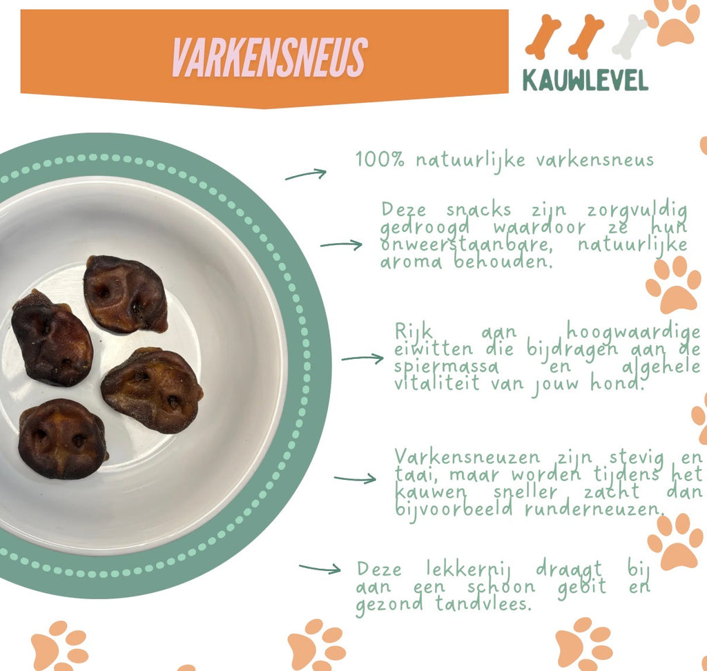 Varkensneus
