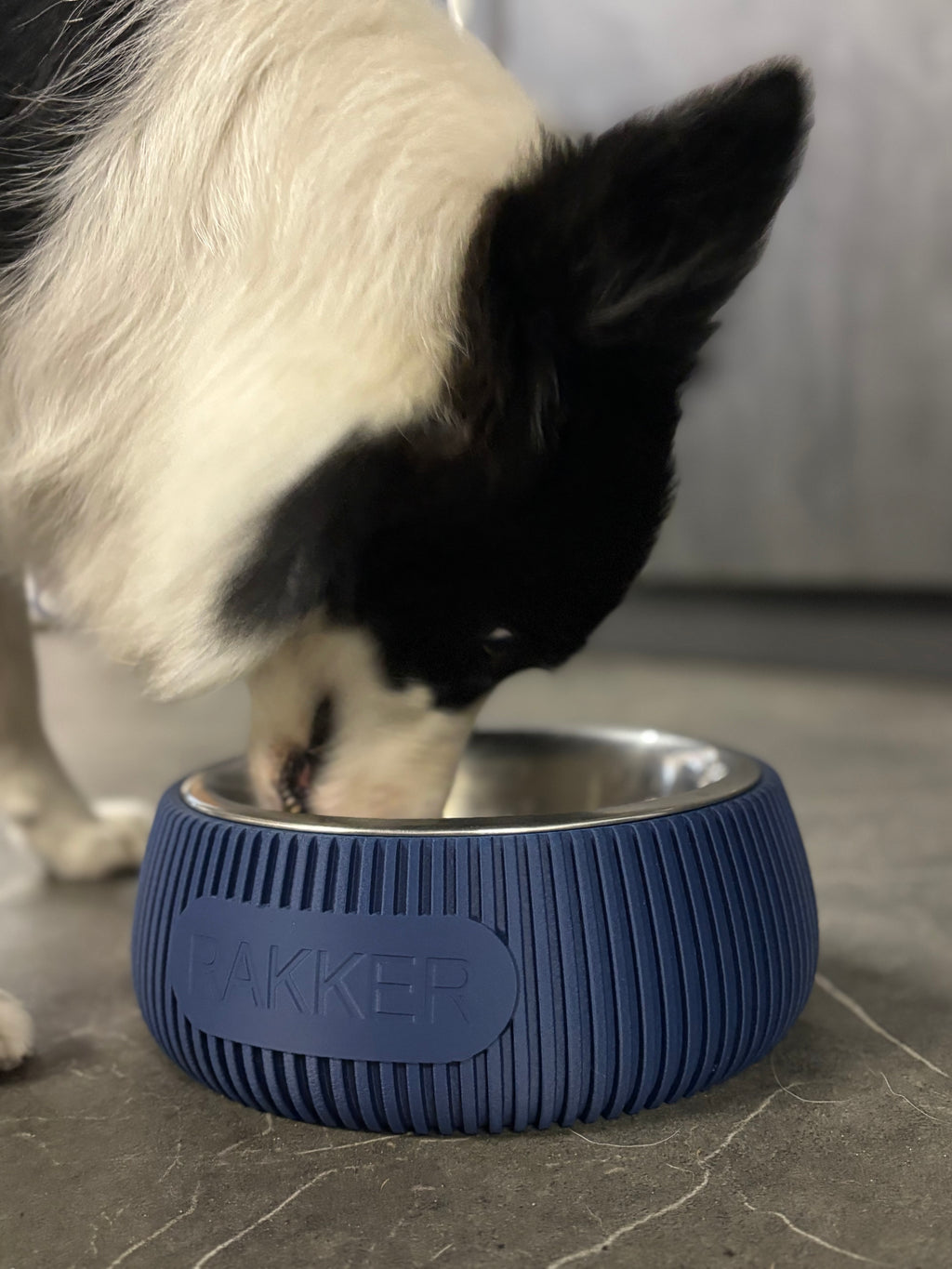 🐾 Gepersonaliseerde Voerbakhouder Ø 21 cm (3D Geprint) 🐾