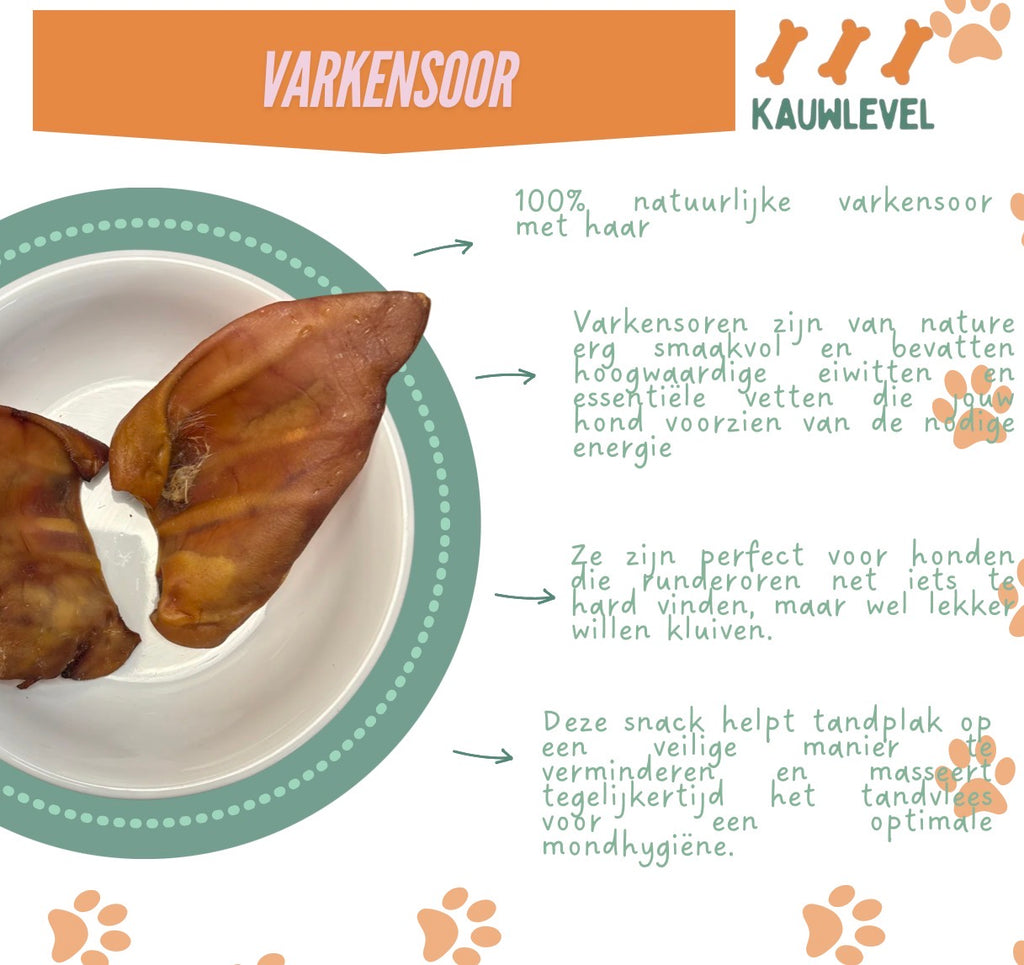 Varkensoor