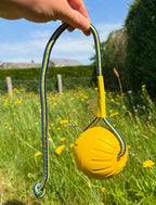 Float ‘n splash Ball