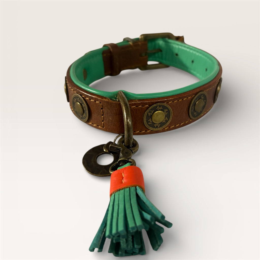 DWAM Urban Collar M2.5