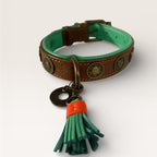 DWAM Urban Collar M2.5