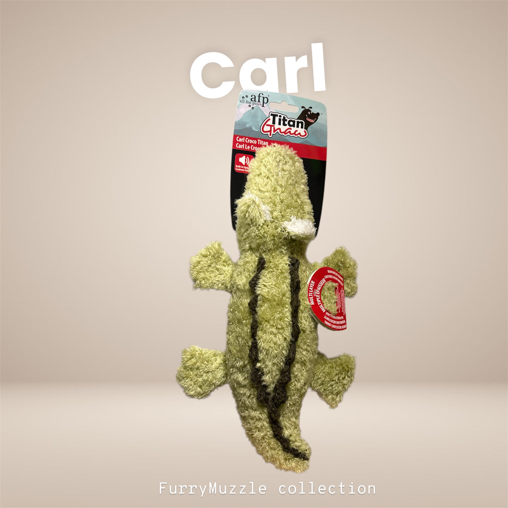 Carl Croco