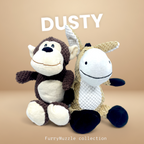 Dusty Donkey