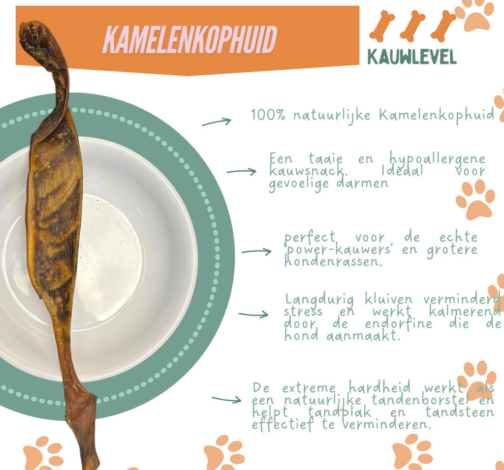 Kamelenkophuid lang