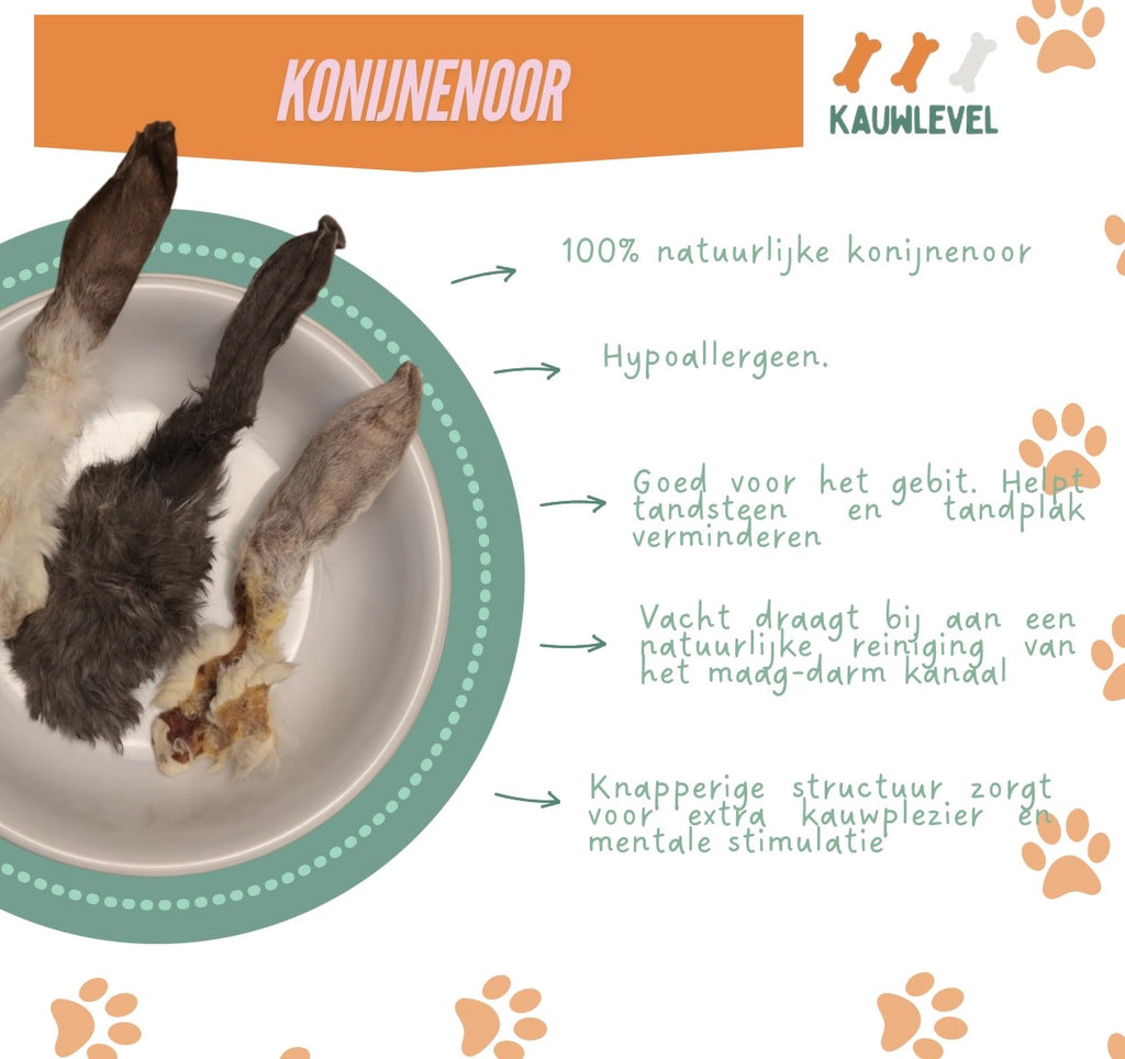 Konijnenoren