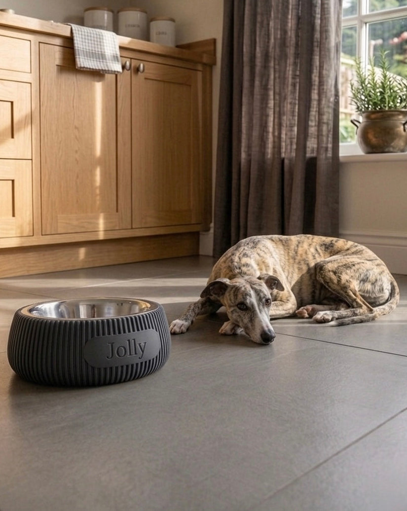 🐾 Gepersonaliseerde Voerbakhouder Ø 21 cm (3D Geprint) 🐾