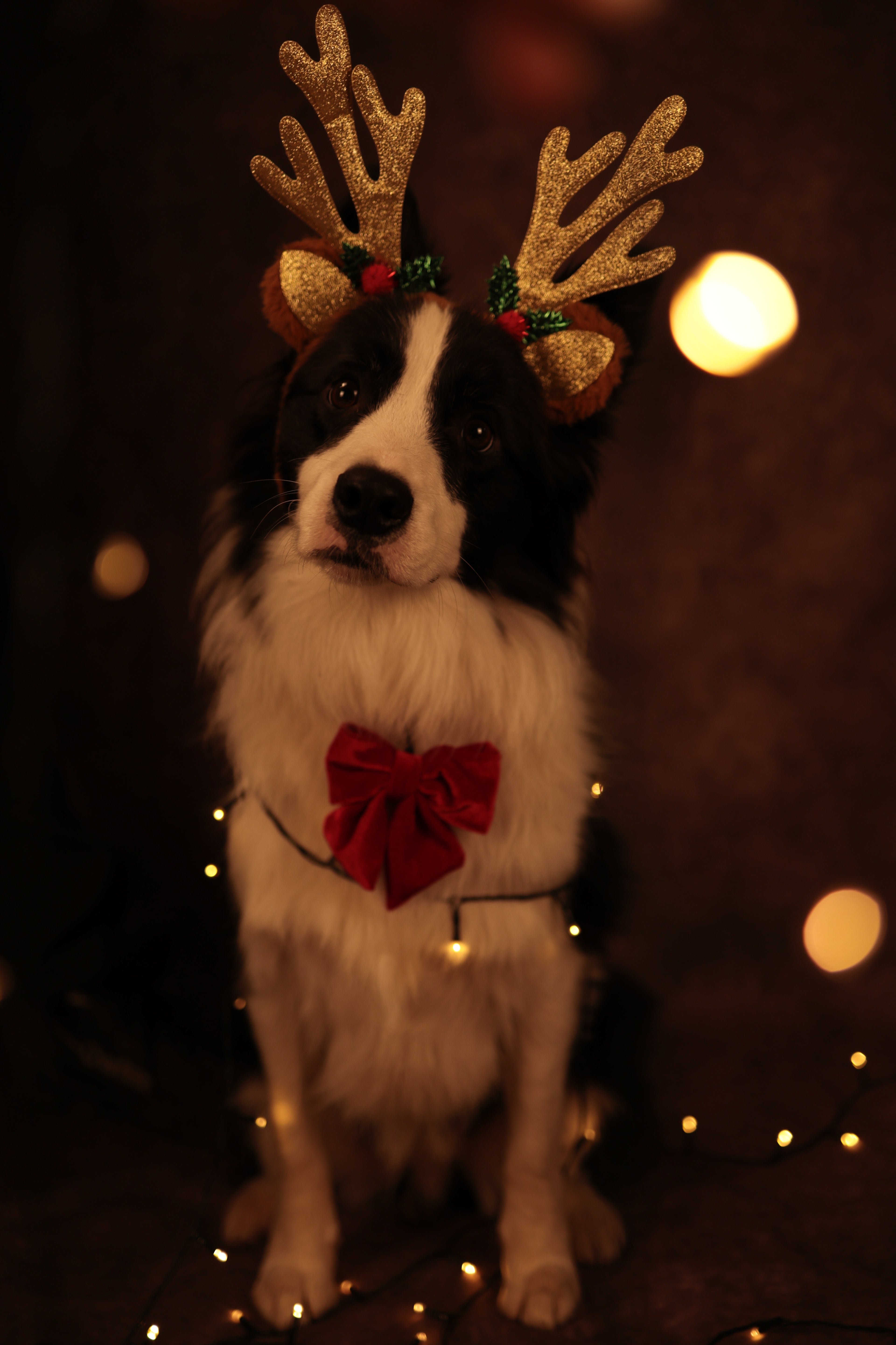 Surprise Kerst Box PRE-ORDER