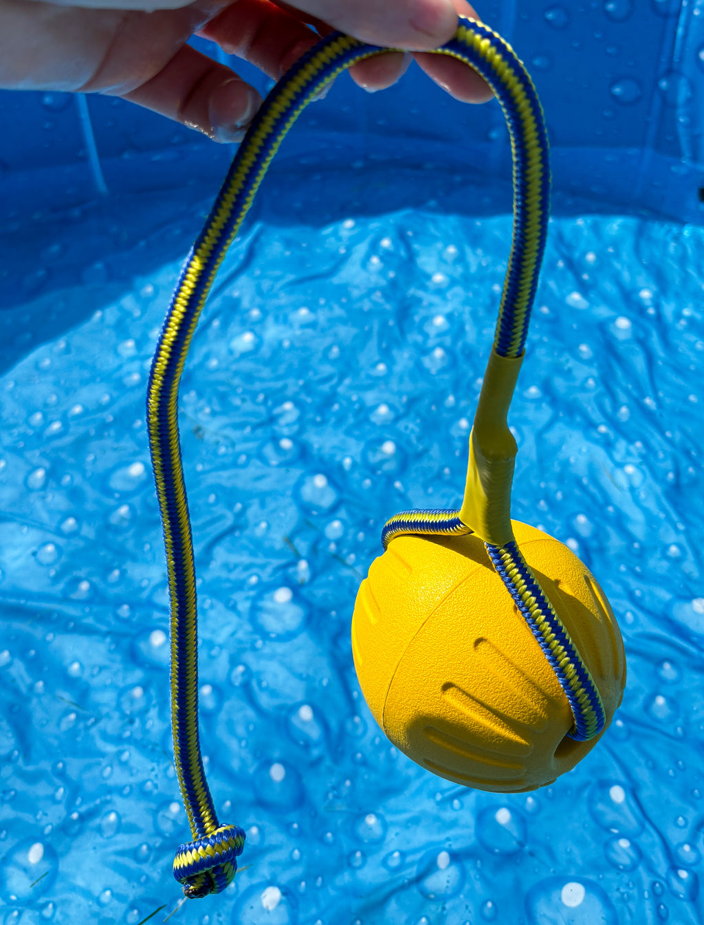 Float ‘n splash Ball