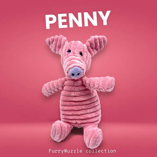 Penny Pig