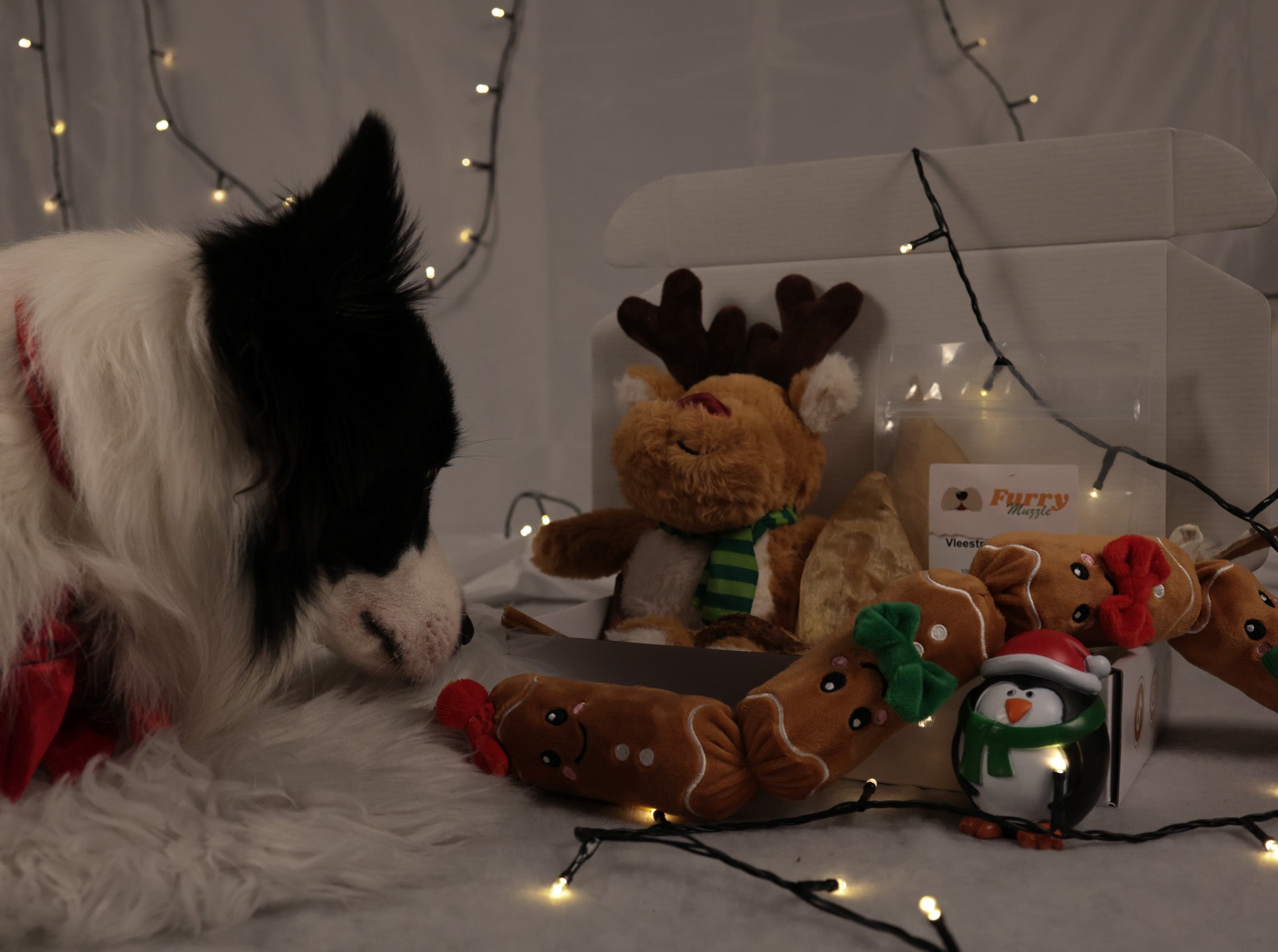 Surprise Kerst Box PRE-ORDER