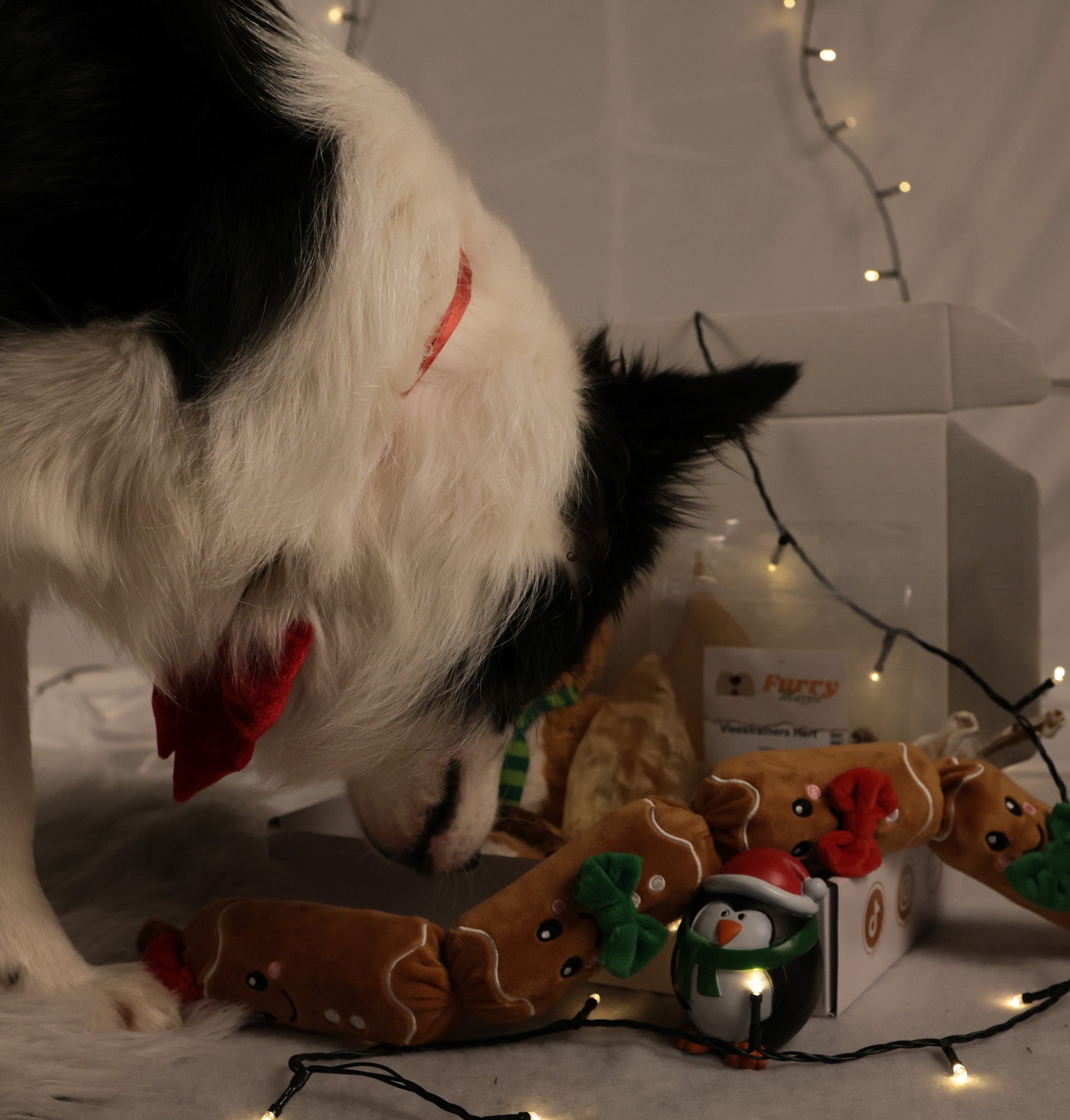 Surprise Kerst Box OP=OP