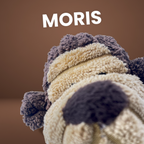 Moris Monkey