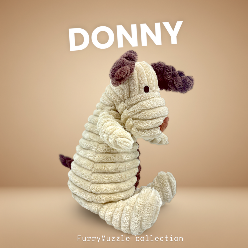 Donny Dog
