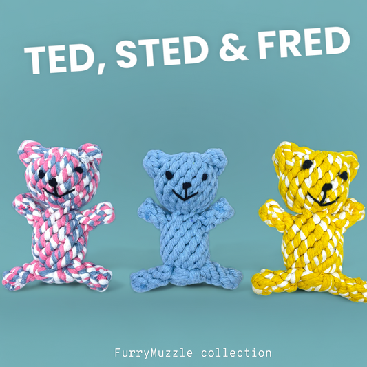 Ted, Sted & Fred