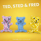 Ted, Sted & Fred