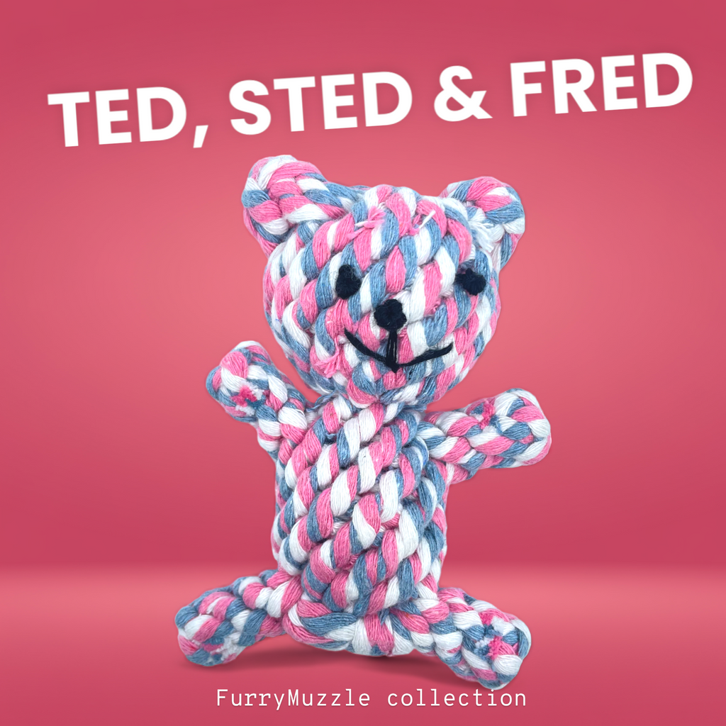 Ted, Sted & Fred