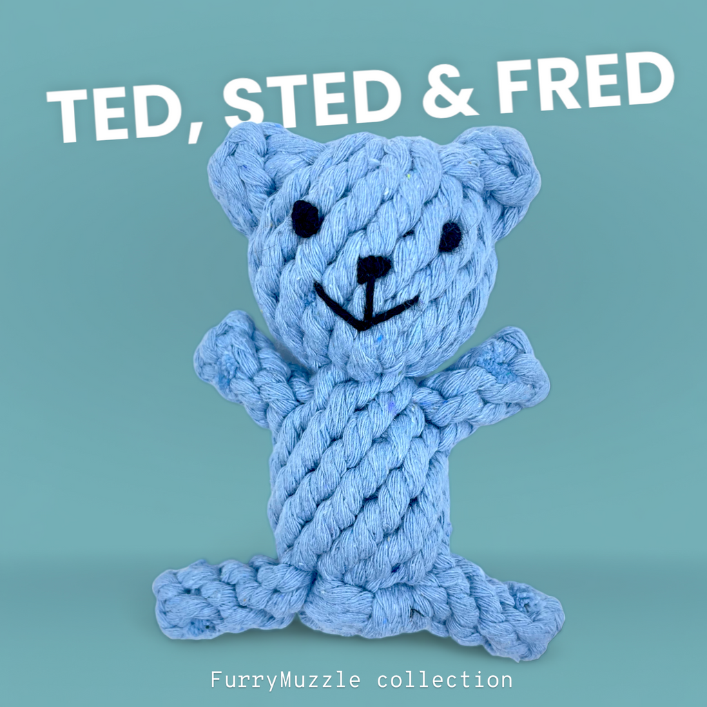 Ted, Sted & Fred