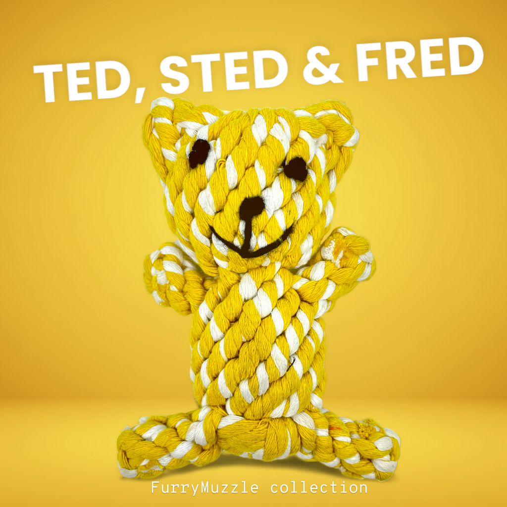 Ted, Sted & Fred
