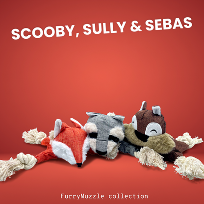 Scooby, Sully & Sebas