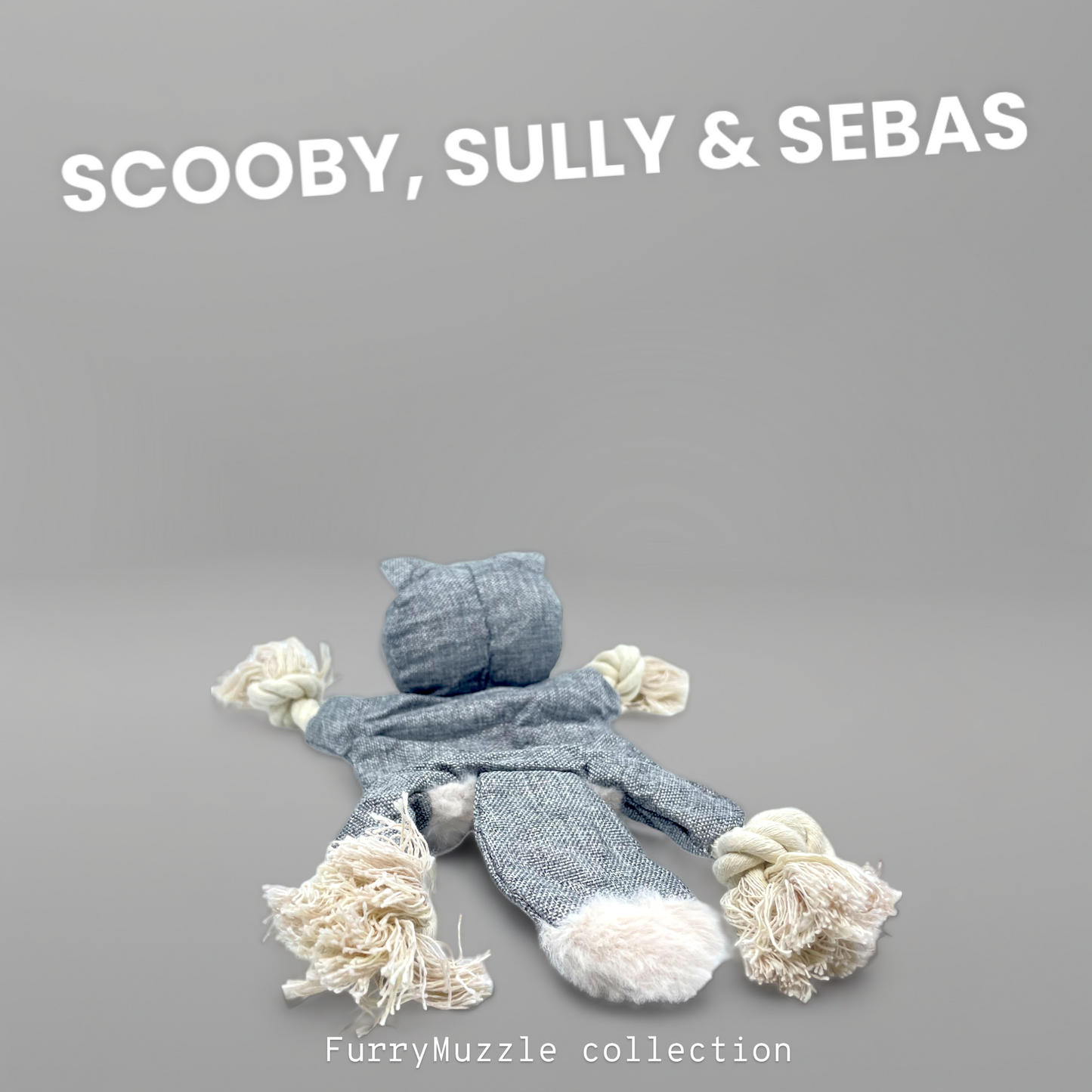 Scooby, Sully & Sebas