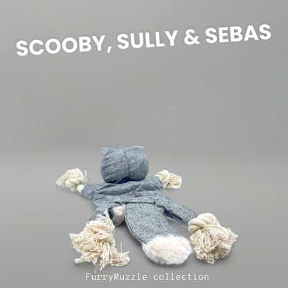 Scooby, Sully & Sebas