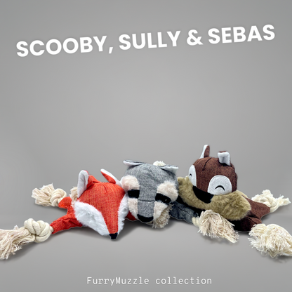 Scooby, Sully & Sebas