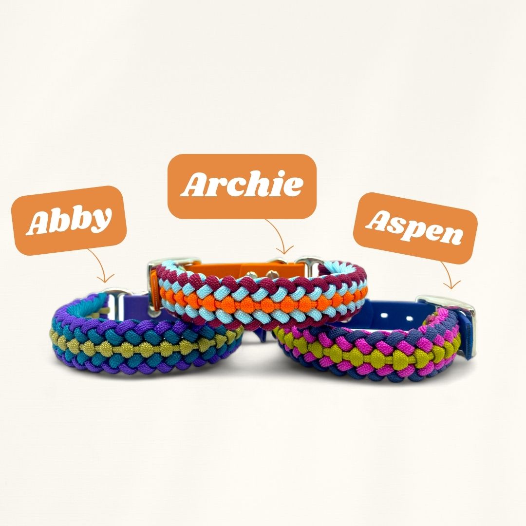 Playfull Pups - Abby, Archie & Aspen